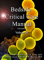 Bedside Critical Care Manual II